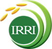 IRRI
